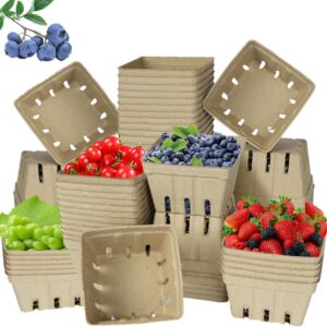 60 Pack Small Natural Pulp Fiber Berry Baskets –...