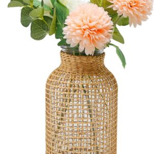 MDEOOSKY Straw Woven Glass Vase 7.87''x1.96''x4.13''Boho...