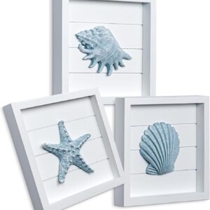 TideAndTales Blue Seashells and Starfish (Framed Set of...