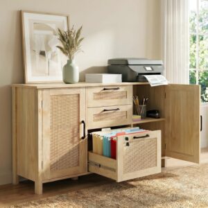 HOPUBUY 3 Drawer and 2 Doors File Cabinet with Lock,...