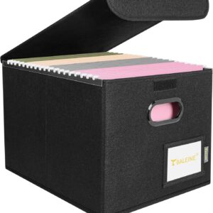BALEINE File Organizer Box with Lid, Collapsible File...