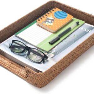 Seagrass Letter Tray for A4 File Woven Desk Tray...
