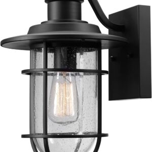 Globe Electric 44094 1-Light Outdoor/Indoor Wall Sconce,...