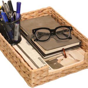 PINXIURY Water Hyacinth Letter Tray for A4 File Desk...