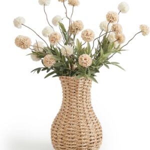 Ctosree Small Wicker Vase for Flowers, 8 Inch...