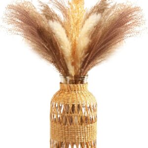ZENS Rattan Boho Vase, Hand Woven Wicker Cover Glass...