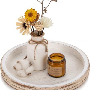Hanobe Decorative Tray for Coffee Table: 10.5-Inch Round...