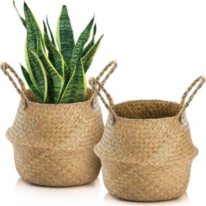 Yesland 2 Pack Woven Seagrass Plant Basket with Handles,...