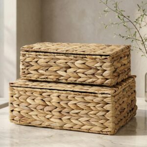 Decorative Storage Boxes with Lids - Set of 2 Beautiful...