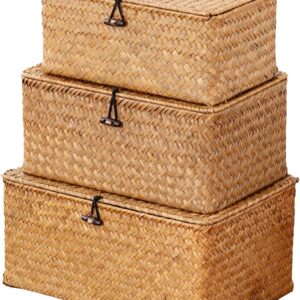 Nonam Storage Basket with Lid, Natural Seagrass Bin with...