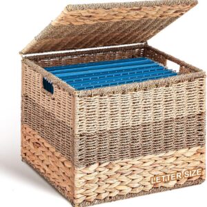 Decorative File Box 14 x 12 x 11 in Wicker Seagrass File...