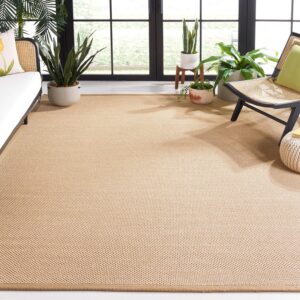 SAFAVIEH Area Rug 9x12 - Natural Fiber Collection -...