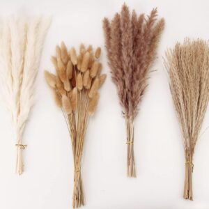 Dried Pampas Grass Decor, 100 Stems Pampas Grass...