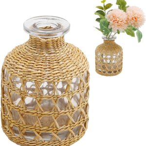 Flower Vases with Rattan Cover Straw Woven Glass Vase...