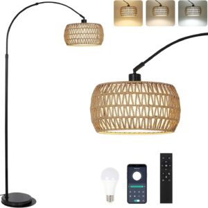 Arc Floor Lamps for Living Room with 3 Color...