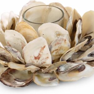 Mud Pie 498B002 Oyster Shell Votive Holder 3 1/4" x 7" |...