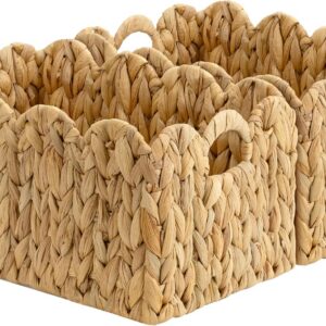 Storageworks Scalloped Water Hyacinth Baskets, Large...