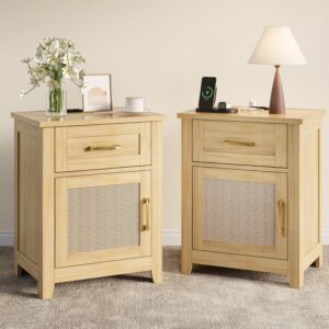 Decofy Rattan Nightstand Set of 2 with Charging Station,...