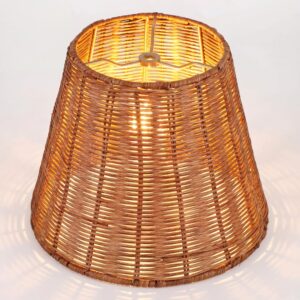 1 Pack Natural Rattan Spider Boho Lamp Shade Handwoven...